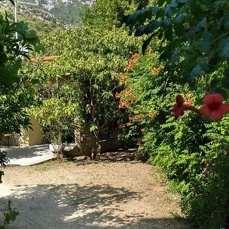 Jovis Dom wakacyjny Drvenik (Split-Dalmatia)
