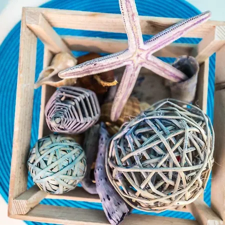 Jovis * 드레베니크