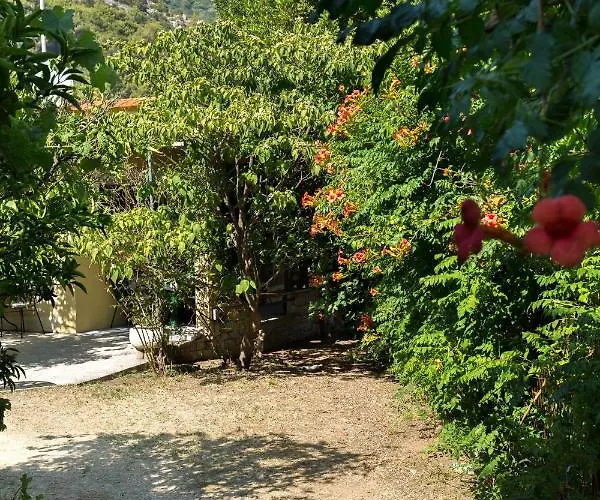 Jovis בית נופש דרבניק