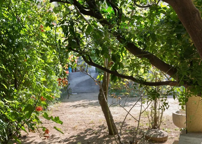 Jovis בית נופש