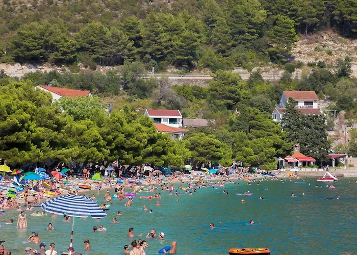 Jovis * דרבניק