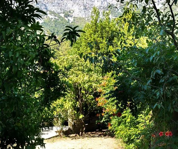 Jovis בית נופש *