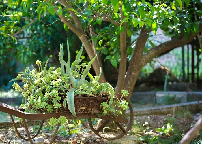 Jovis בית נופש *