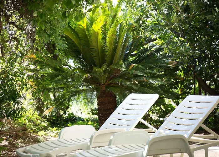 Holiday Jovis Drvenik (Split-Dalmatia)