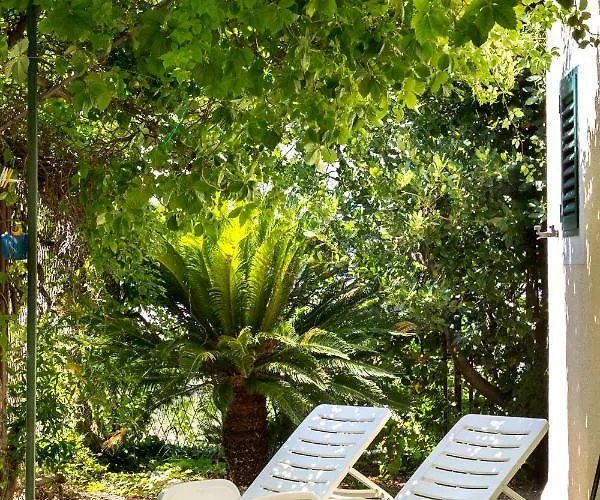 Jovis בית נופש